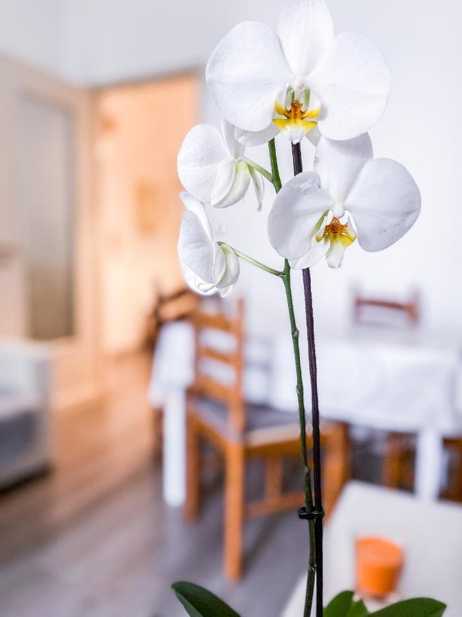 Myhouse Inn Marche - Affitti Brevi Italia Torino Kültér fotó